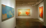 Installation View - The Elements
