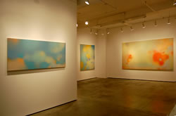 The Elements installation view